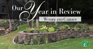 woodland wall with flowers