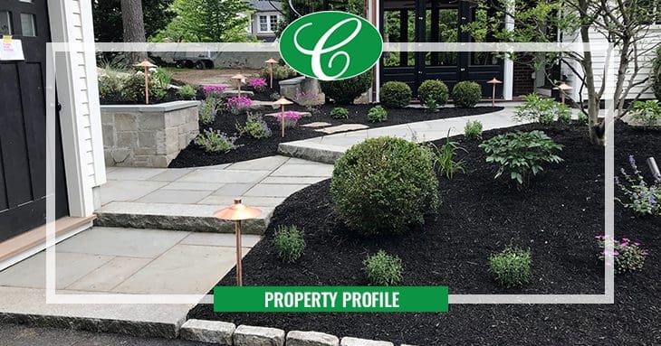 New bluestone and granite patio