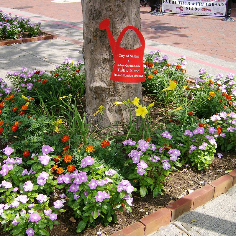 Commercial flowers and shrubs