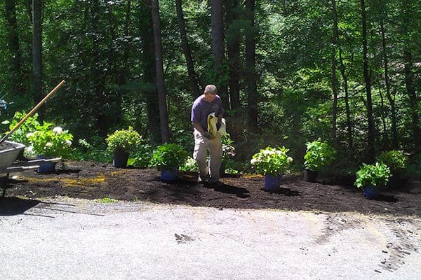 600x400-Cole-team-planting-shrubs