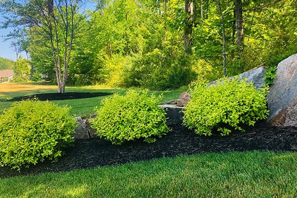 600x400-plant-health-care-mag-shores3