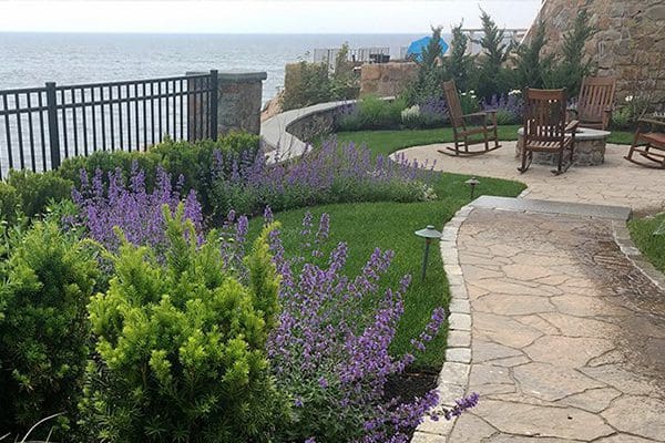 600x400-plant-health-care-ocean-walk-patio