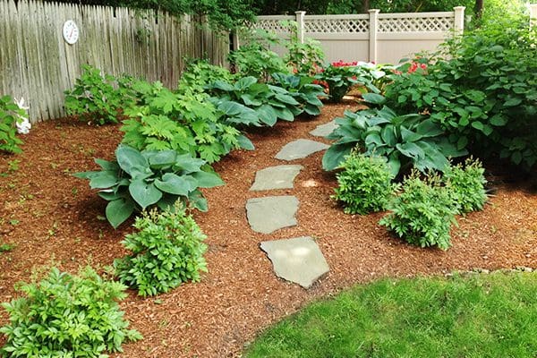 600x400-plant-health-care3