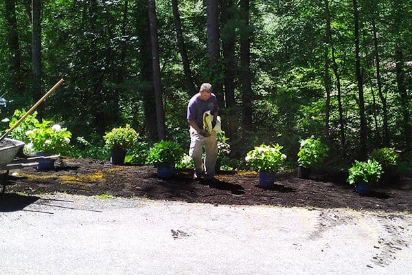 600x400-plant-health-care7