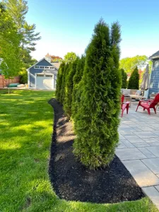 Residential Landscape Design