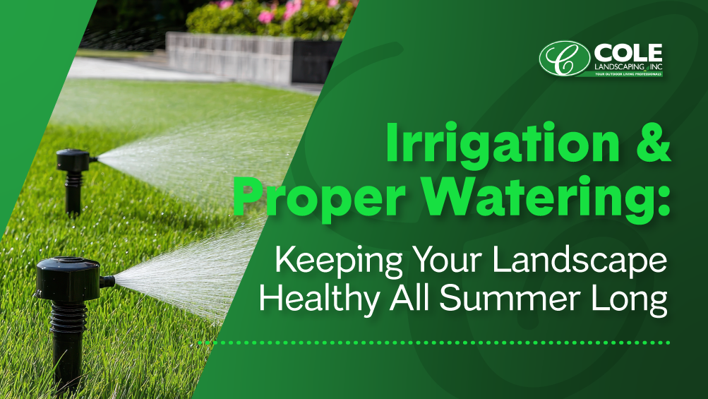 Irrigation & Proper Watering: Keeping Your Landscape Healthy All Summer Long