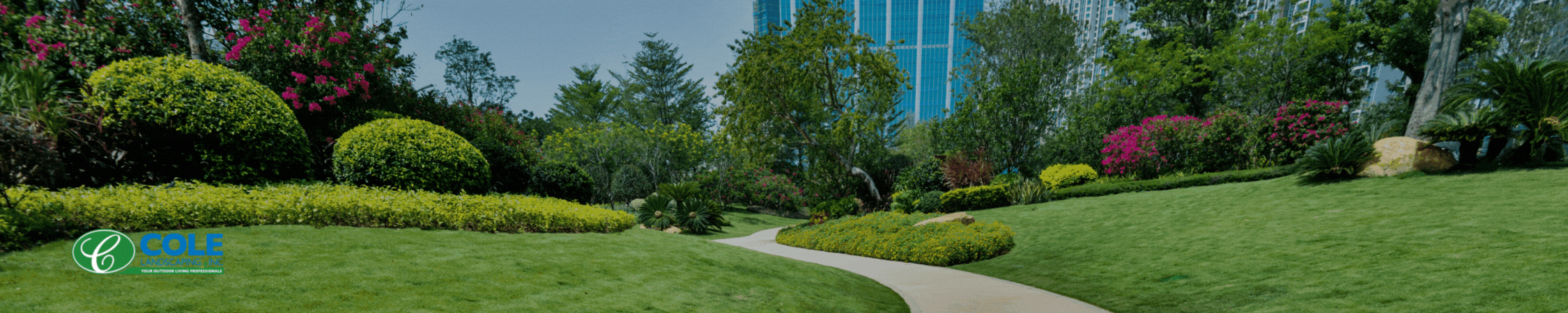 commercial-landscapin