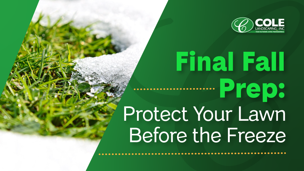 Final Checklist Before the Ground Freezes