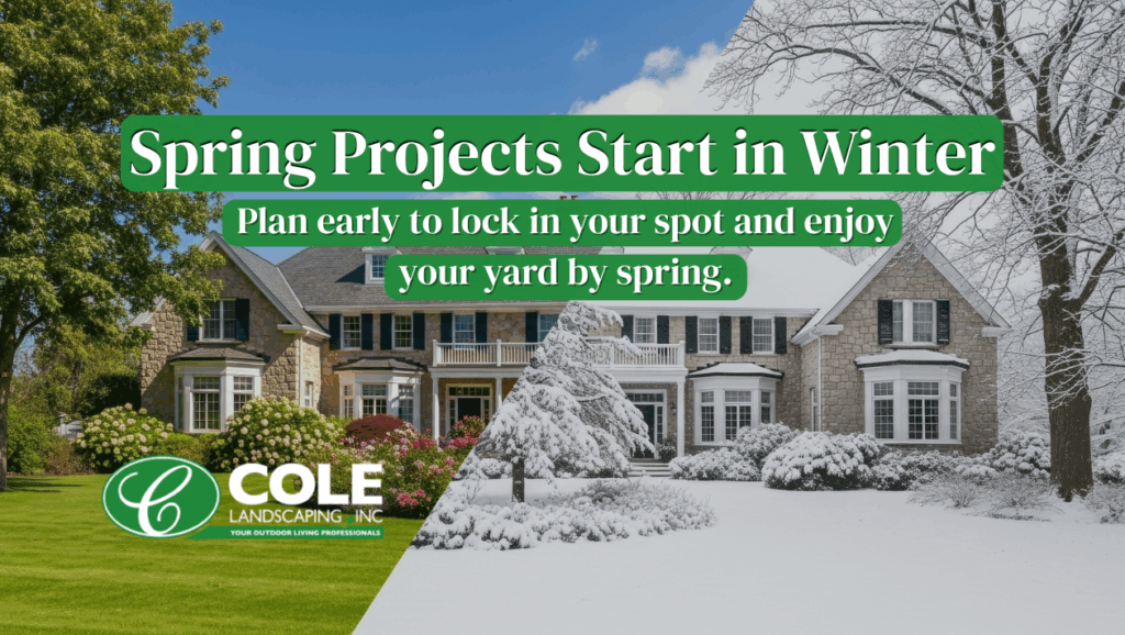 Spring Projects Start in Winter