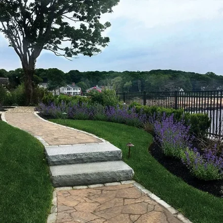 900x600-Gallery-garden-magnolia2-1