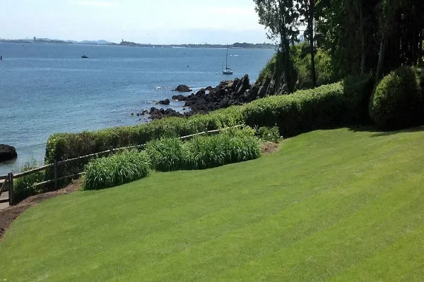 imresizer-1711651664570